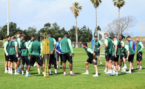 מוכנים לפיורנטינה: מכבי חיפה ממריאה לבודפשט