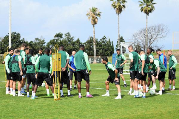 מוכנים לפיורנטינה: מכבי חיפה ממריאה לבודפשט