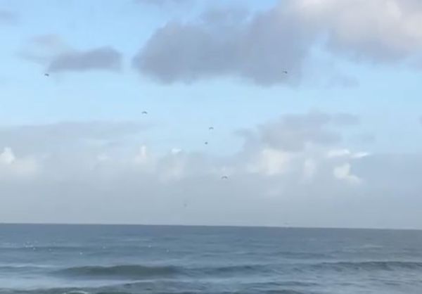 שוב פאדיחות: הסיוע לתושבי עזה נחת עמוק בים