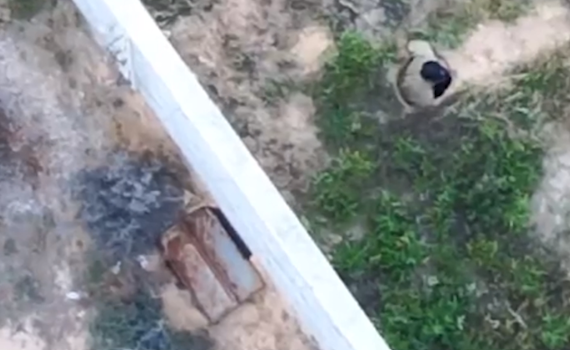 צפו: המחבל הציץ מהפיר, כלי הטיס העלה אותו באש