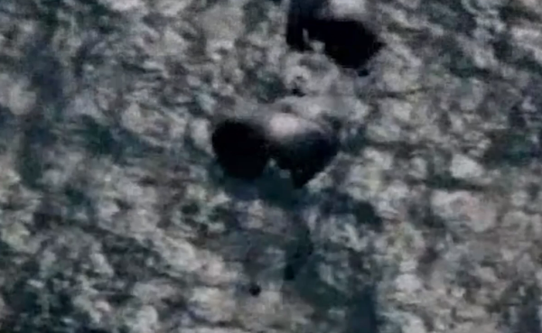 תיעוד: כך ארה"ב הצניחה סיוע הומניטרי לרצועת עזה