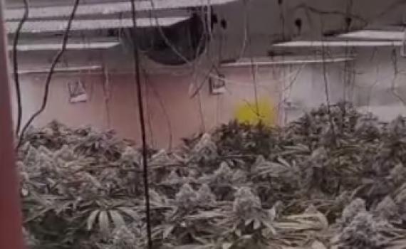 אישום: החזיקה 315 ק"ג סמים בבית בפתח תקווה