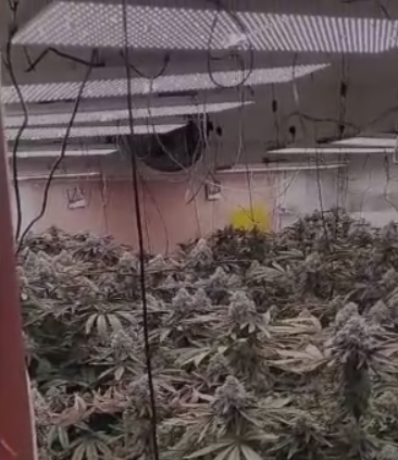 אישום: החזיקה 315 ק"ג סמים בבית בפתח תקווה