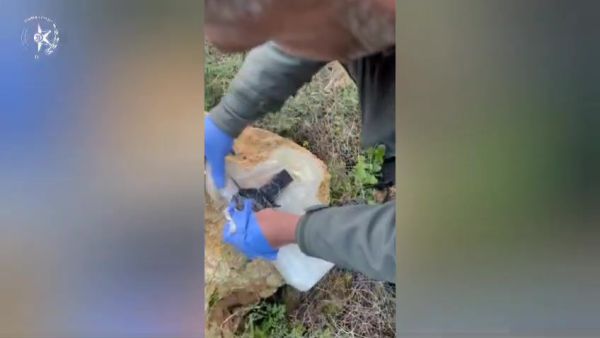 בהנחיית חמאס: תושבי סכנין תכננו לבצע פיגועי טרור