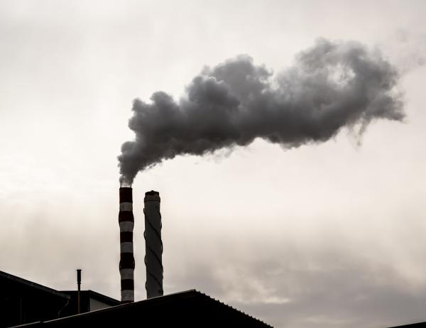 המשרד להגנת הסביבה חושף: אלה 10 המפעלים המזהמים בישראל