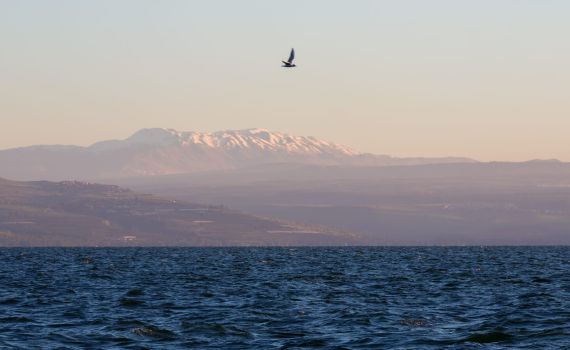מפלס הכנרת ממריא: זו כמות המים שנכנסה ביממה האחרונה