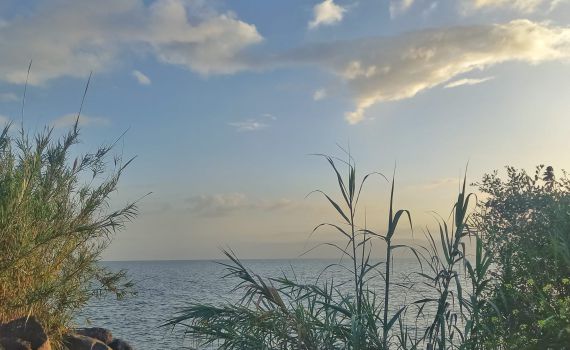 משנה קידומת: מפלס הכנרת בעוד עלייה נאה