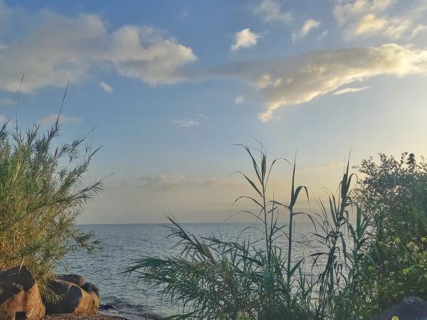 משנה קידומת: מפלס הכנרת בעוד עלייה נאה