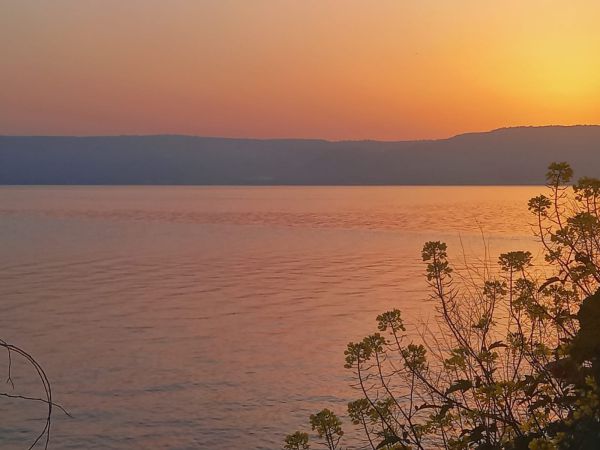 מפלס הכנרת ממשיך לטפס: זה מה שחסר לכנרת מלאה