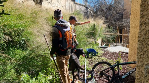 חשש ממשי לחייה: היימנוט הקטנה טרם נמצאה