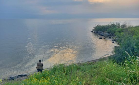 ללא הפסקה: מפלס הכנרת ממשיך לזנק