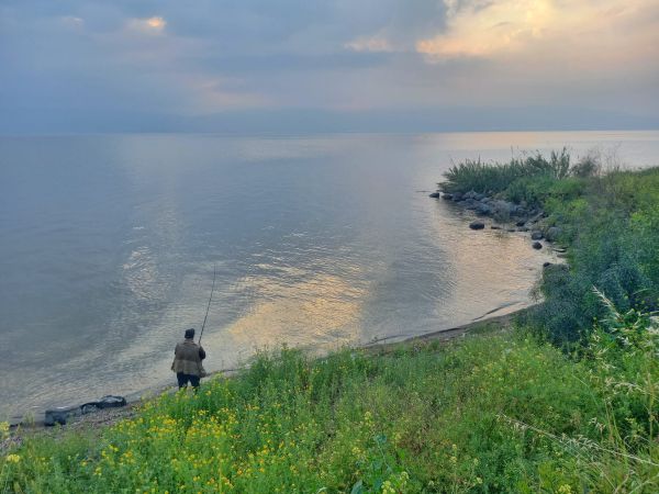ללא הפסקה: מפלס הכנרת ממשיך לזנק