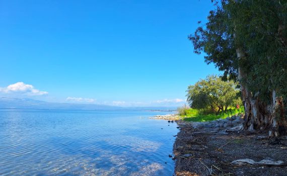 הפער נסגר: מפלס הכנרת ממשיך לטפס