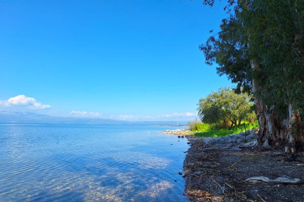 הפער נסגר: מפלס הכנרת ממשיך לטפס