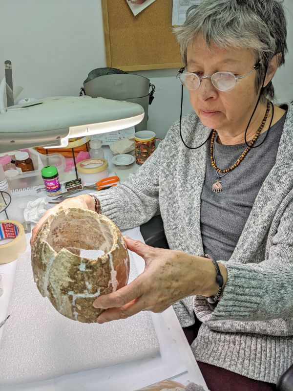 כלי בן כ-6,000 שנה עשוי שנהב התגלה בדרום הארץ