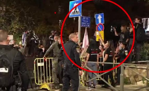 צפו: מפגין שמאל משליך לפיד בוער על פרש משטרה