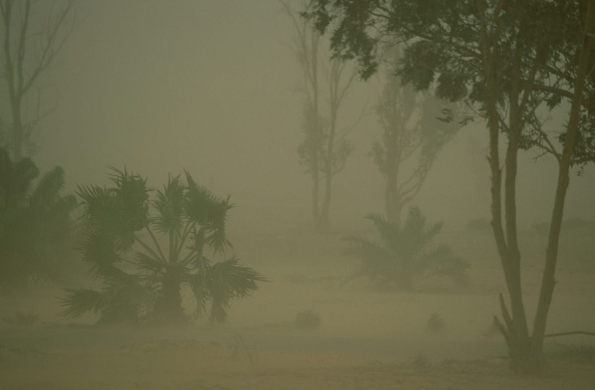משרד הבריאות מזהיר: סכנה לקשישים ונשים בהריון
