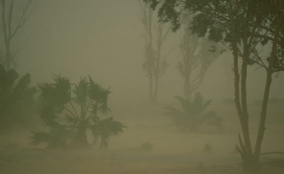 משרד הבריאות מזהיר: סכנה לקשישים ונשים בהריון