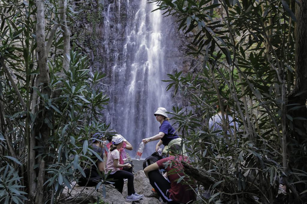 משרד הבריאות מזהיר: זיהום מים מסוכן בנחלי הצפון