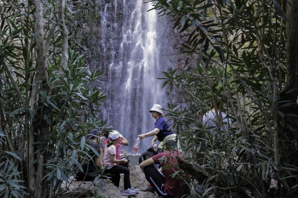 מה עושים כשילד נפצע בחופש? זכויות ופיצויים
