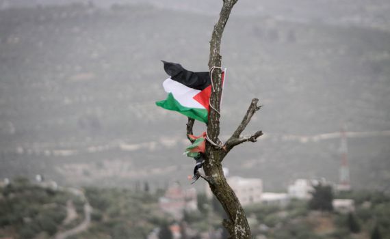 פצוע קל ממטען שהוצב סמוך לדגל פלסטין בבנימין