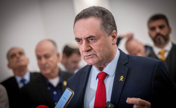 שר החוץ נגד האג: נקים חמ"ל, נאבק בהחלטה