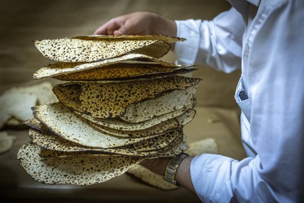 סוד גדול: אגרת ר' שמשון מאוסטרופולי לערב פסח