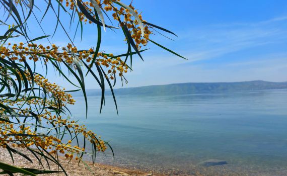 לאט אבל בטוח: מפלס הכנרת ממשיך לטפס