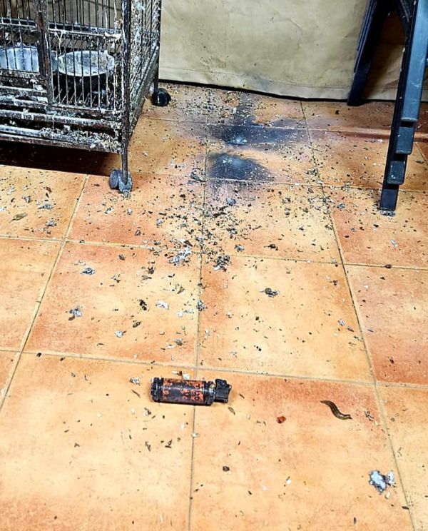 רימון הושלך לדירת מגורים באור עקיבא. חשודים נעצרו