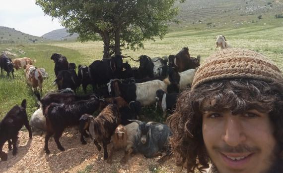 רועי הצאן ביו"ש: "מערכה מאתגרת, אך לא נעצור"