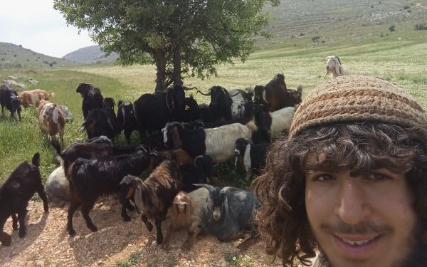 רועי הצאן ביו"ש: "מערכה מאתגרת, אך לא נעצור"