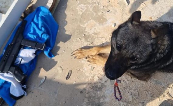 בעזרת הכלבה המשטרתית: כלי נשק נתפס במזרח ירושלים