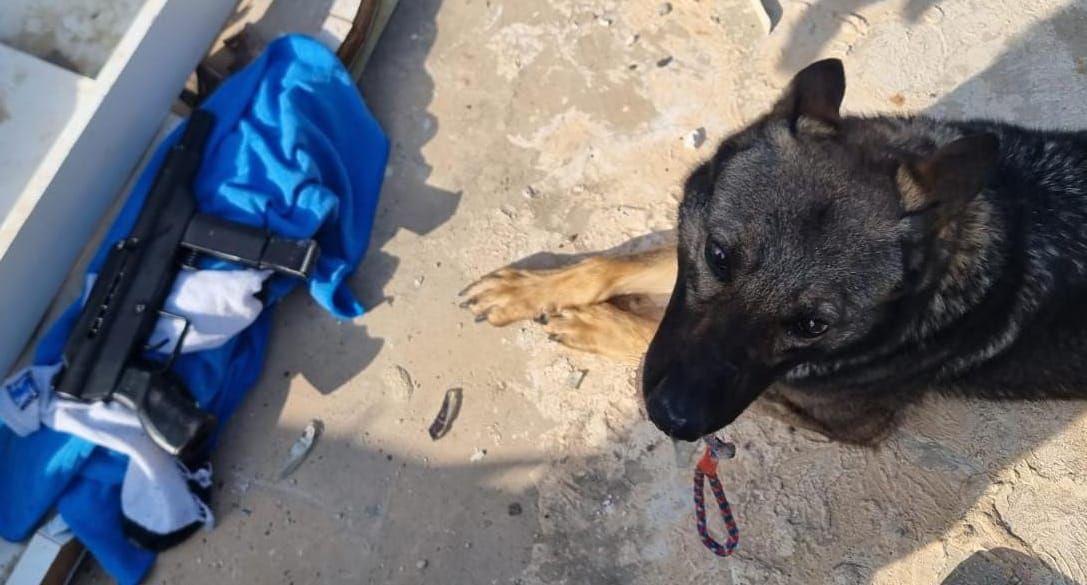 אירוע חמור בג'לג'וליה: 2 שוטרים נפצעו וכלב נהרג