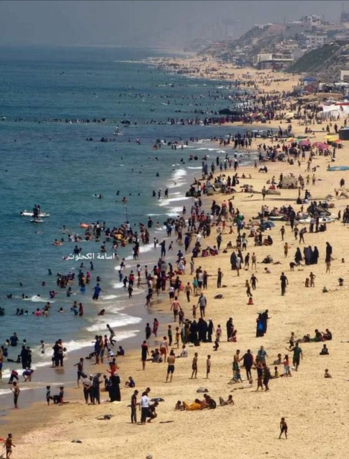 עיתונאית הארץ על סרטון העזתים: "אותי זה משמח"