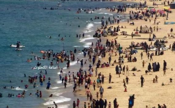 עיתונאית הארץ על סרטון העזתים: "אותי זה משמח"