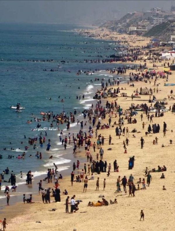 עיתונאית הארץ על סרטון העזתים: "אותי זה משמח"