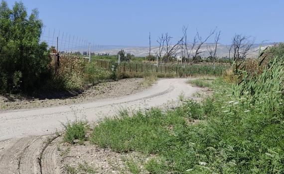 אירוע בטחוני חמור בגבול ירדן