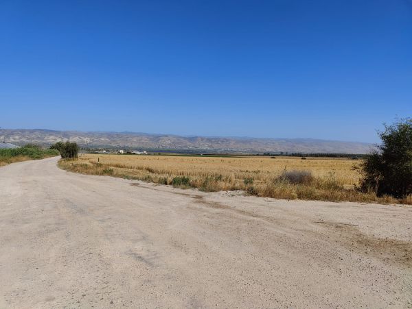 גבולות פרוצים: ירדן-החזית הבאה?