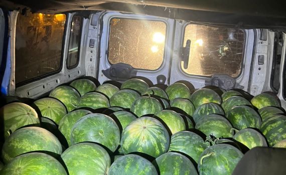 פלסטינים גנבו אבטיחים במשקל של 2 טון ונעצרו