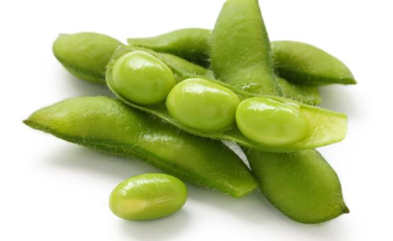 ריקול דחוף למוצר האהוב: "מכיל חיידק ליסטריה"