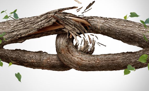 "אני לא יכולה להגיד לא לאף אחד"