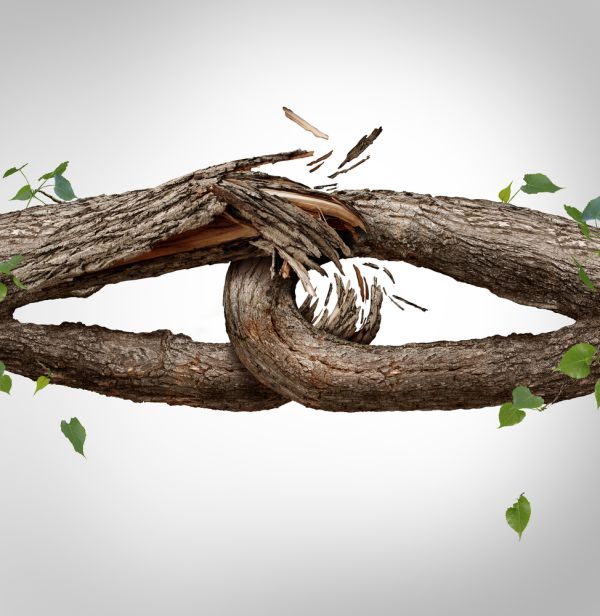 "אני לא יכולה להגיד לא לאף אחד"