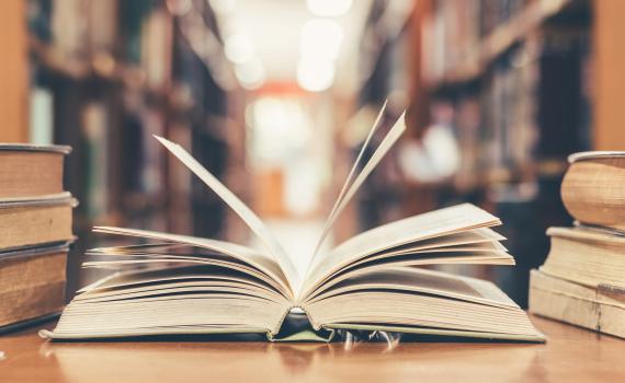 "סולם גנבים" הוא הספר הכי טוב שקראתי השנה | ביקורת ספרים