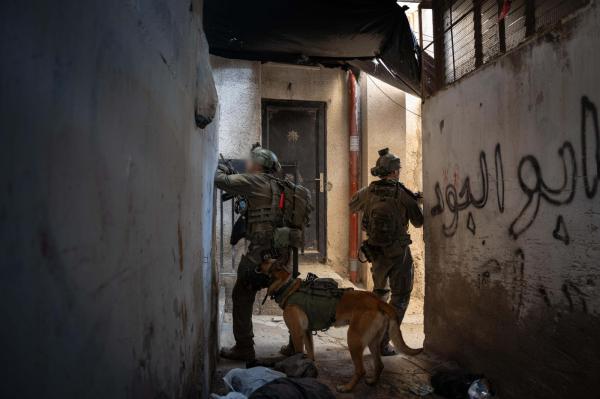 הותר לפרסום: צה"ל עצר עשרות מחבלים שתכננו לבצע פיגועים