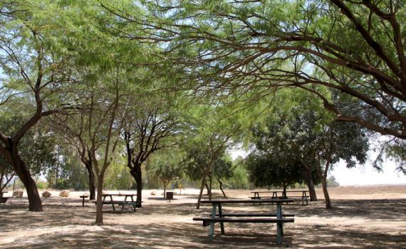 איפה מותר להדליק אש? רשימת פארקים ליום העצמאות