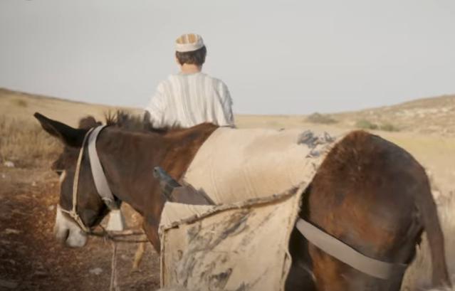 "רק שיפול לידיי רב חשוב, ואני אשבור לו את העצמות"