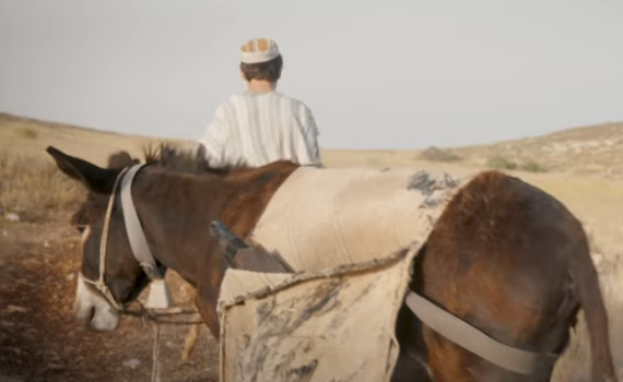 "רק שיפול לידיי רב חשוב, ואני אשבור לו את העצמות"
