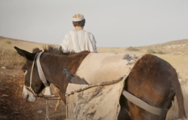"רק שיפול לידיי רב חשוב, ואני אשבור לו את העצמות"