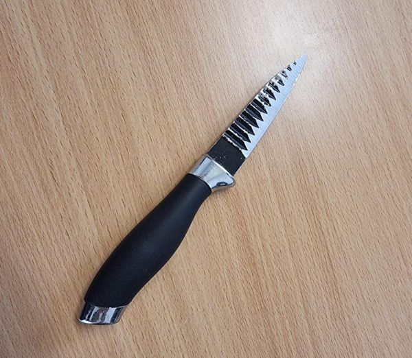 סוכל ניסיון פיגוע: מחבלת ניסתה לדקור שוטר ונעצרה