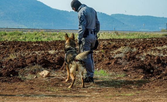 מהמקום הכי יפה בגלבוע הפכנו לעוטף ג'נין
